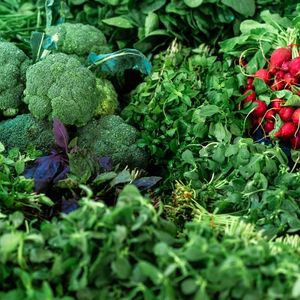 Summer Harvest Greens
