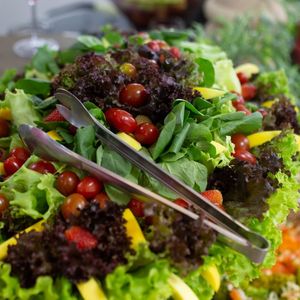 Summer Breeze Salad