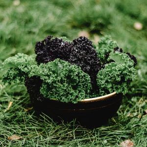 Persian Summer Kale Salad