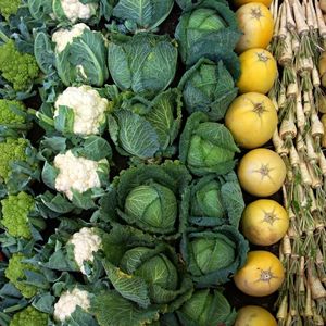 Garden of Greens